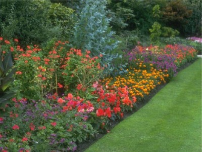 Transform your garden with the aid of peat moss, mulch & bark from A P Hayden Bark, Dublin & Kildare, Ireland