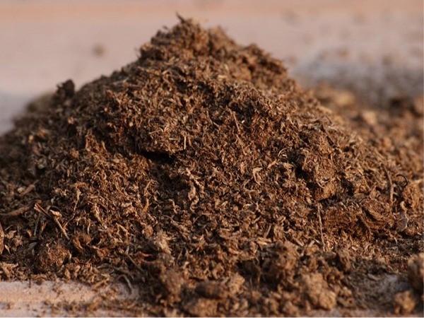 Quality Peat Moss delivered throughout Dublin, Kildare, Carlow, Kilkenny, Wexford, Waterford, Tipperary and Laois, Ireland by  A P Hayden Bark - Bark, Mulch & Peat Moss Supplies